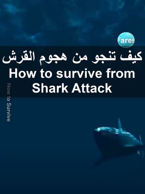 هجوم القرش