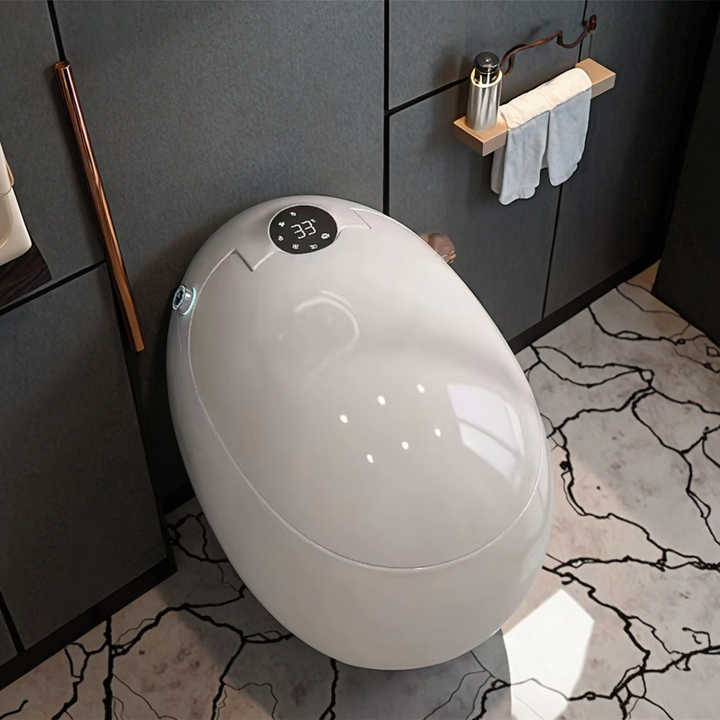 Intelligent Toilet Egg Shape