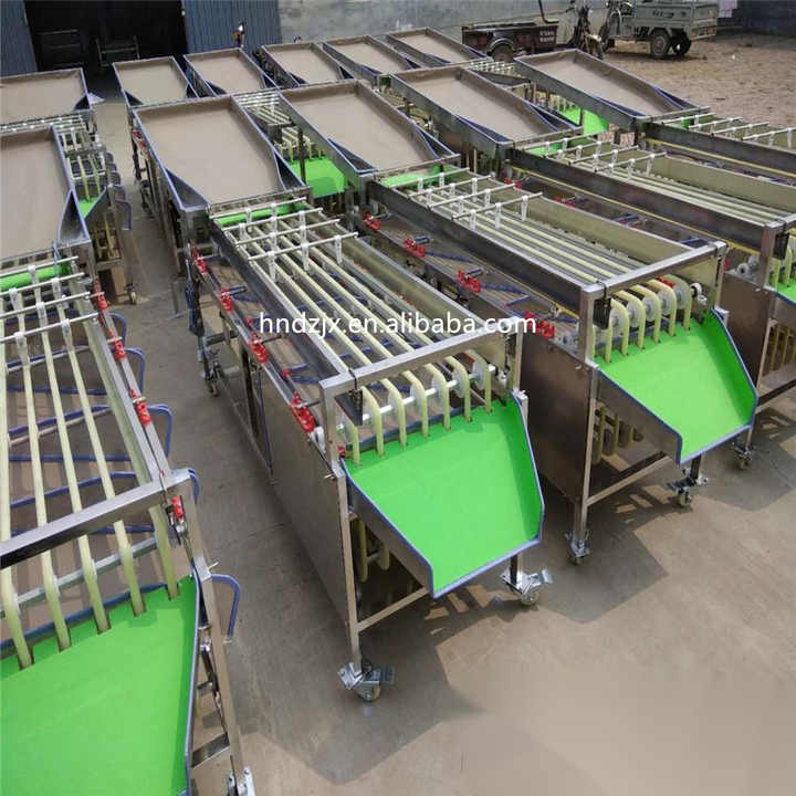 Sorting Cutting Washing Machine