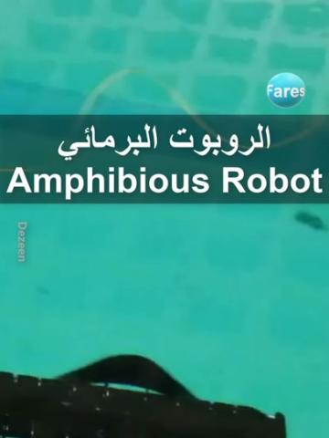 Amphibious Robot
