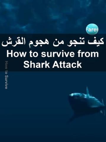 survive from Shark Attack