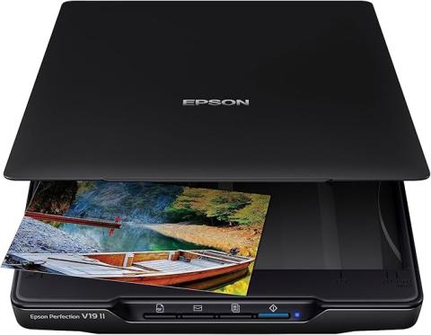 Epson Perfection V19