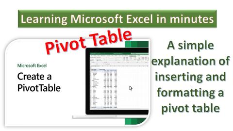 PivotTable in MS Excel