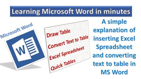 Insert Excel Spreadsheet and Convert Text to Table in MS Word