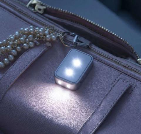 LED Purse Light
