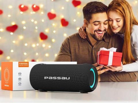 Portable Bluetooth Speakers
