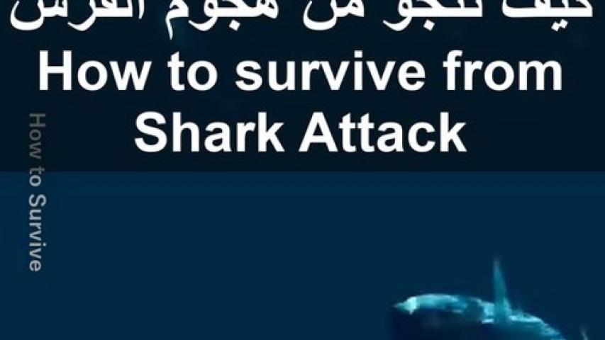 هجوم القرش