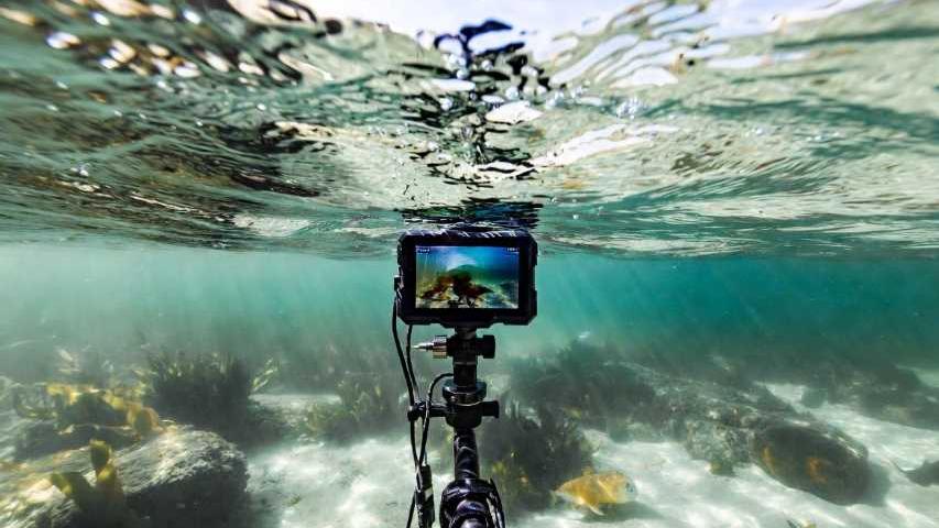 Underwater Fishing Cameras: See What Lies Beneath