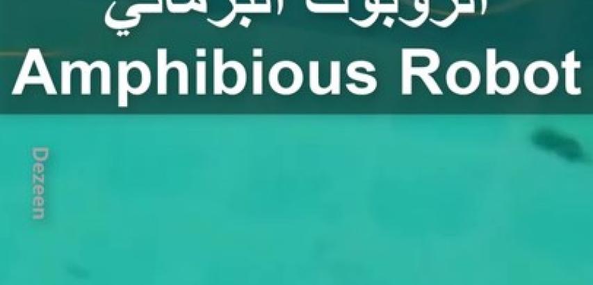 الروبوتات البرمائية