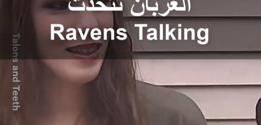الغربان تتحدث