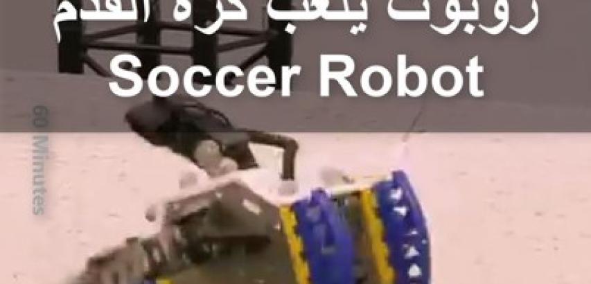 الروبوتات الكروية