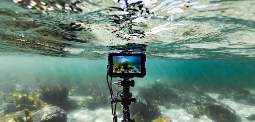 Underwater Fishing Cameras: See What Lies Beneath